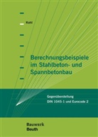 Matthias Kohl - Berechnungsbeispiele im Stahlbeton- und Spannbetonbau