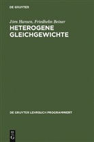 Friedhelm Beiner, Jör Hansen, Jörn Hansen - Heterogene Gleichgewichte