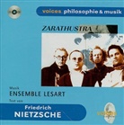 Friedrich Nietzsche - Zarathustra, 1 CD-Audio (Hörbuch)