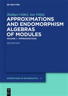 Rüdige Göbel, Rüdiger Göbel, Jan Trlifaj - Approximations and Endomorphism Algebras of Modules, 2 Teile