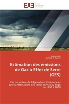 Ayité-Lô  N. Ajavon, Ayité-Lô N Ajavon, Ayité-Lô N. Ajavon, Koko Sabi, Kokou Sabi - Estimation des emissions de gaz a