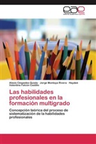 Alexi Céspedes Quiala, Alexis Céspedes Quiala, Falc, Haydeé Valentina Falcón Castillo, Jorg Montoya Rivera, Jorge Montoya Rivera - Las habilidades profesionales en la formación multigrado