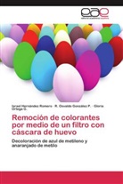 R Osvald González P, R Osvaldo González P, R. Osvaldo González P., Israe Hernández Romero, Israel Hernández Romero, Ort... - Remoción de colorantes por medio de un filtro con cáscara de huevo