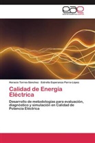 Estrella Espe Parra-López, Estrella Esperanza Parra-López, Horaci Torres-Sánchez, Horacio Torres-Sánchez - Calidad de Energía Eléctrica