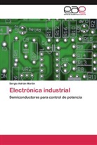 Sergio Adrián Martin - Electrónica industrial
