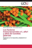 Irene Castaño Navarro, Patrici Yáñez Carrillo, Patricia Yáñez Carrillo - Los factores transcripcionales a1, alfa1 y alfa2 de Candida glabrata