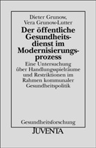 Dieter Grunow, Vera Grunow-Lutter, Klaus D. Plümer, Ulrich Unter Mitarb. von Mausberg, Agnes Wellkamp, Britta Wieschenkämper - Der öffentliche Gesundheitsdienst im Modernisierungsprozeß
