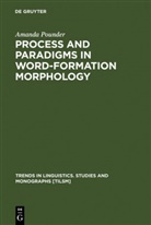 Amanda Pounder - Process and Paradigms in Word-Formation Morphology