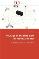 Hanen Idoudi, Idoudi-h - Routage et stabilite dans les