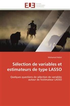 Mohamed Hebiri, Hebiri-m - Selection de variables et