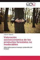Juana R Figueroa, Juana R. Figueroa - Valoración socioeconómica de los productos forestales no maderables