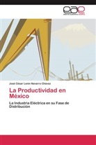 José César Lenin Navarro Chávez - La Productividad en México