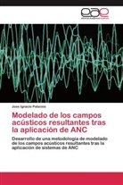 Jose Ignacio Palacios - Modelado de los campos acústicos resultantes tras la aplicación de ANC