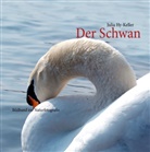 Hy-Keller, Julia Hy-Keller, photo of, natur photos of, nature photos of - Der Schwan