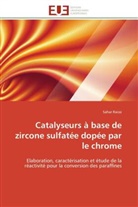 Sahar Raissi, Raissi-s - Catalyseurs a base de zircone
