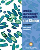 Kathleen Bamford, Kathleen B. Bamford, Stephe Gillespie, Stephen Gillespie, Stephen Bamford Gillespie, Stephen H. Gillespie... - Medical Microbiology and Infection At a Glance