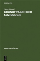 Georg Simmel - Grundfragen der Soziologie