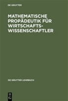 Mathematische Propädeutik für Wirtschaftswissenschaftler