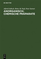 Alfre Golloch, Alfred Golloch, Heinz Kuss, Heinz M Kuss, Heinz M. Kuß, Peter Sartori - Anorganisch-Chemische Präparate