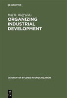 Rol H Wolff, Rolf H Wolff, Rolf H. Wolff - Organizing Industrial Development
