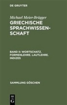 Michael Meier-Brügger - Michael Meier-Brügger: Griechische Sprachwissenschaft - Band 2: Wortschatz. Formenlehre. Lautlehre. Indizes. Tl.2