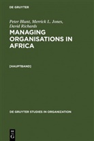 Peter Blunt, Merrick L. Jones, David Richards - Managing Organisations in Africa - [Hauptband]: Managing Organisations in Africa