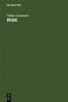 Niklas Luhmann - Risk, A Sociological Theory