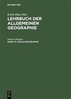 Dietrich Fliedner, Erich Obst - Lehrbuch der Allgemeinen Geographie - Band 13: Sozialgeographie