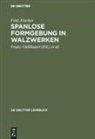Fritz Fischer, Buch, Martin Buch, Franz Gütlbauer - Spanlose Formgebung in Walzwerken