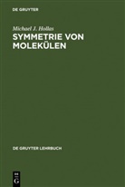 John M. Hollas, Michael J Hollas, Michael J. Hollas, Ral Steudel, Ralf Steudel - Die Symmetrie von Molekülen