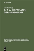 Ulrich Hohoff - E. T. A. Hoffmann 'Der Sandmann'