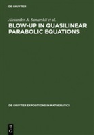 Victor Galaktionov, Victor A Galaktionov, Victor A. Galaktionov, Se Kurdyumov, Sergei P. Kurdyumov, Sergey P. Kurdyumov... - Blow-up in Quasilinear Parabolic Equations