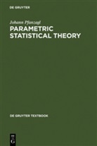 Johann Pfanzagl - Parametric Statistical Theory