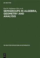 Ernest B Vinberg, Jimmi D Lawson, Jimmie D Lawson, Karl H. Hofmann, Jimmie D. Lawson, Jimmy D. Lawson... - Semigroups in Algebra, Geometry and Analysis