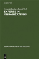 Arman Hatchuel, Armand Hatchuel, Benoit Weil, Benoît Weil - Experts in Organizations