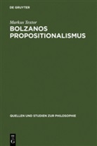 Mark Textor, Markus Textor - Bolzanos Propositionalismus