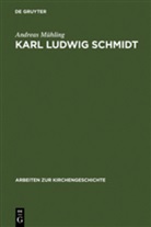 Andreas Mühling - Karl Ludwig Schmidt