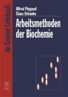 Pingou, Alfre Pingoud, Alfred Pingoud, Alfred M. Pingoud, Urbanke, Claus Urbanke... - Arbeitsmethoden der Biochemie