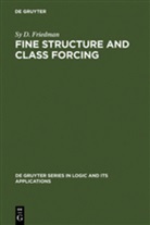 Sy D Friedman, Sy D. Friedman - Fine Structure and Class Forcing