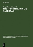 Josep Ferrar, Joseph Ferrar, Harada, harada, Koichiro Harada - The Monster and Lie Algebra