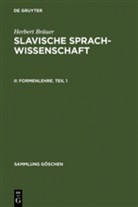 Herbert Bräuer - Herbert Bräuer: Slavische Sprachwissenschaft - II: Formenlehre. Teil 1. Tl.2/1