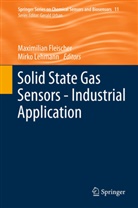 Maximilia Fleischer, Maximilian Fleischer, Lehmann, Lehmann, Mirko Lehmann - Solid State Gas Sensors - Industrial Application