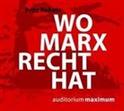 Fritz Reheis, Martin Falk - Wo Marx Recht hat (Hörbuch)