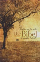 Bibelausgaben: Hoffnung für alle, Die Bibel in großer Schrift, Country Edition