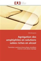 Nihel Bouguerra, Bouguerra-n - Agregation des amphiphiles en