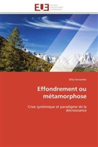 Billy Fernandez, Fernandez-b - Effondrement ou metamorphose