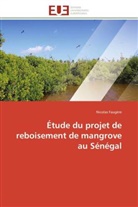 Nicolas FAUGERE, Nicolas Faugère, Faugere-N - Etude du projet de reboisement de