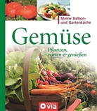 Jana Treber - Gemüse