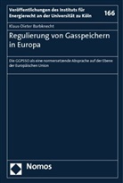 Klaus-Dieter Barbknecht - Regulierung von Gasspeichern in Europa