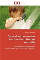 Anne-Cécile Reymann, Reymann-a - Dynamique des reseaux d actine d